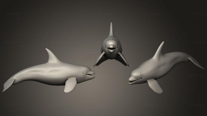 3D model Killer Whale (STL)